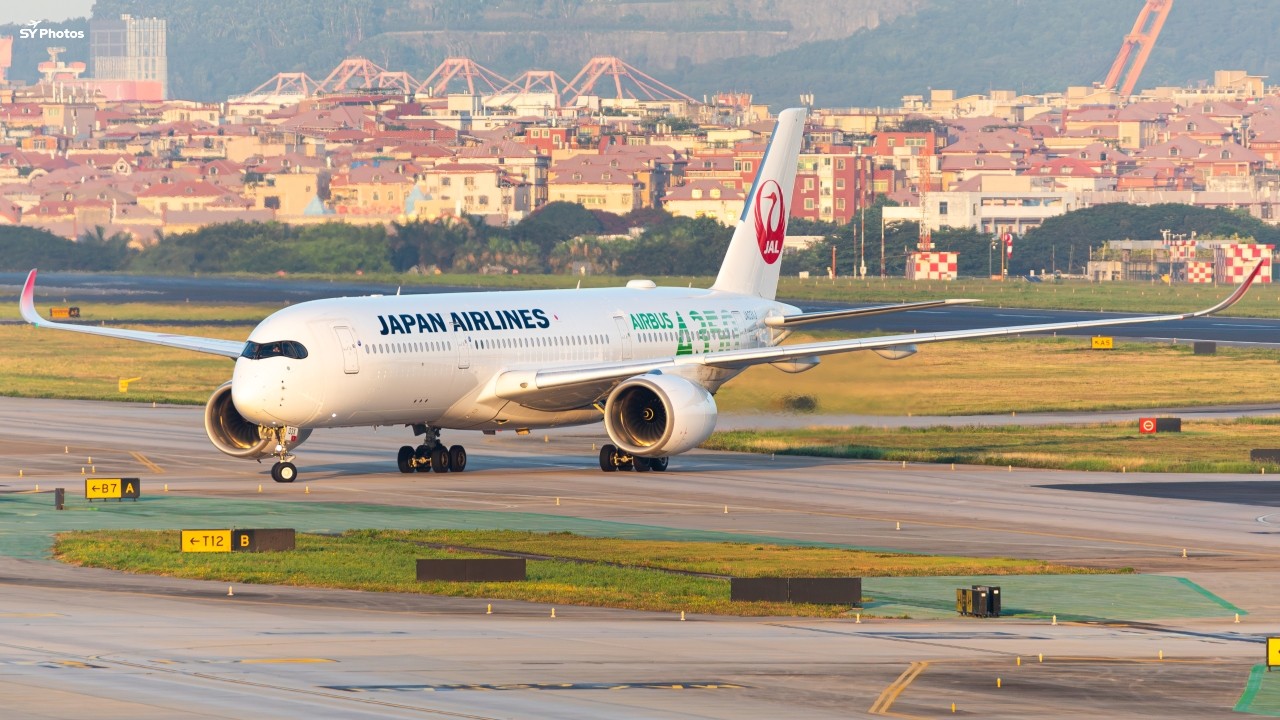 熊猫割割没拍过的金光